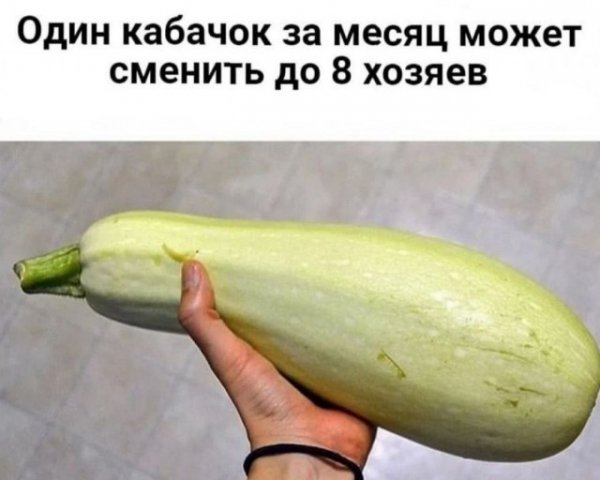 file_103114360