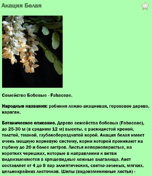 Лекарственные растения 1.0