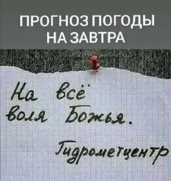 file_101423427