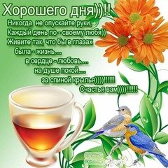 Хорошего дня