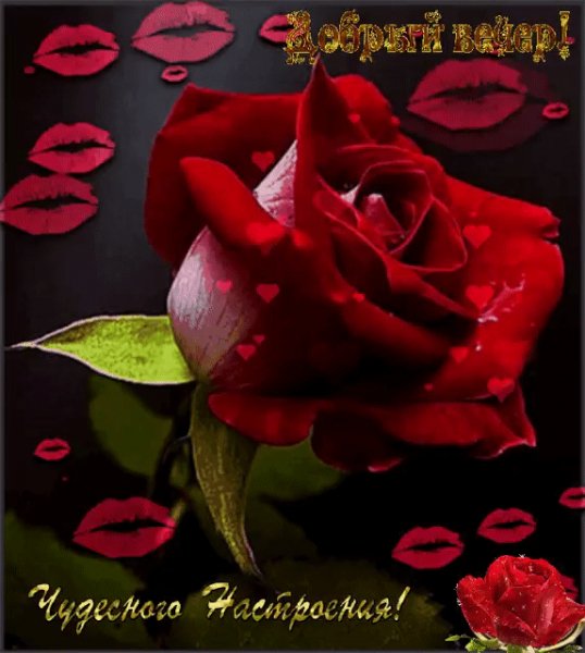 IMG 20200309 022329