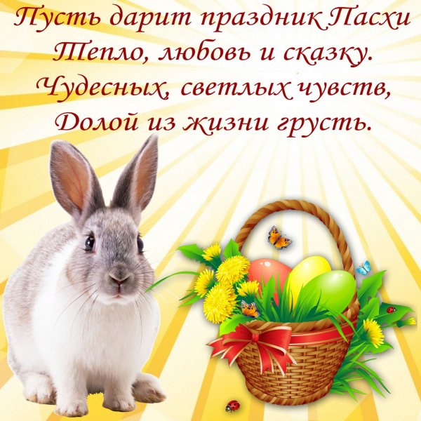 file_84186435
