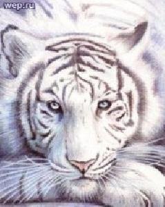 Enimal