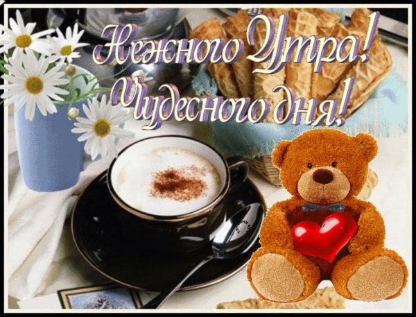 IMG 20171006 190746 3
