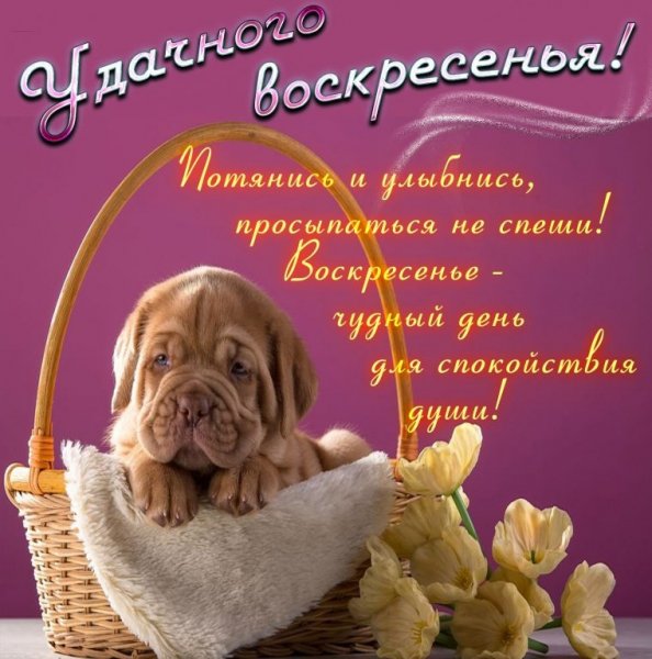 IMG 20190413 215846