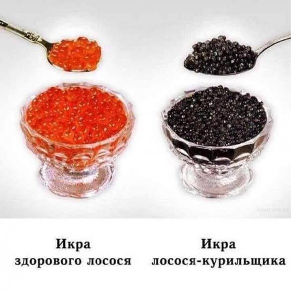 IMG 20260710 123345 301