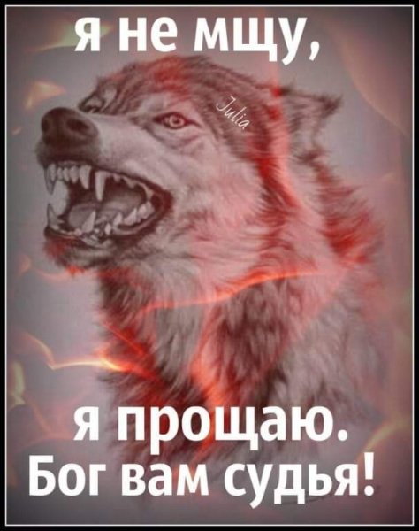 FB IMG 1637425592212