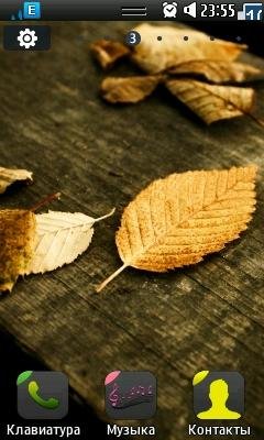 autumn