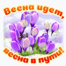 99b7c