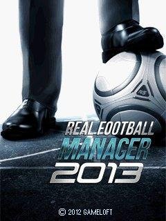 Real Football Manager 2013 RU 176x220 SE