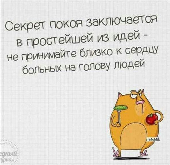 file_94960448