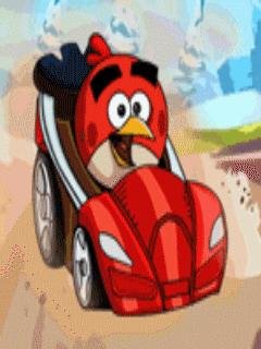 Angry Birds Race