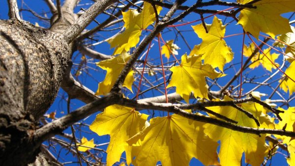 file_78567333