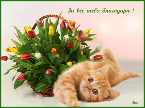 За все тебя благодарю!