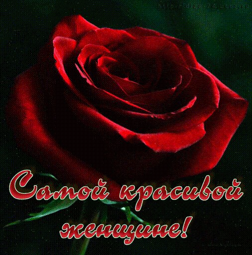 Самой красивой женщине