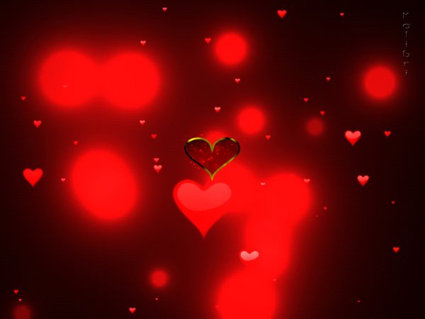 IMG 20200214 123542