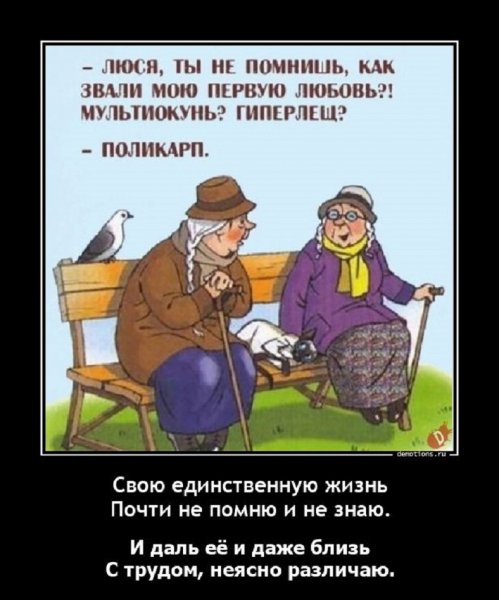 Поликарп
