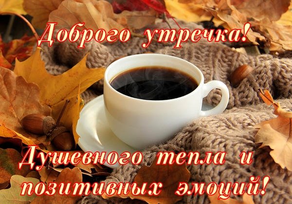 IMG 20181208 151556