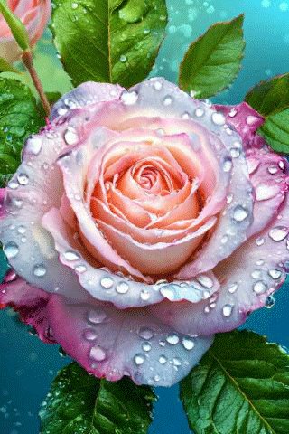 file_98746063