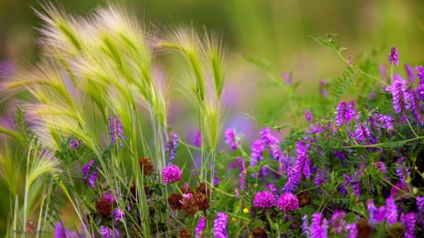 file_82136834