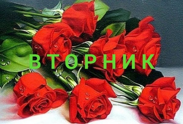 9iazaWvdENo