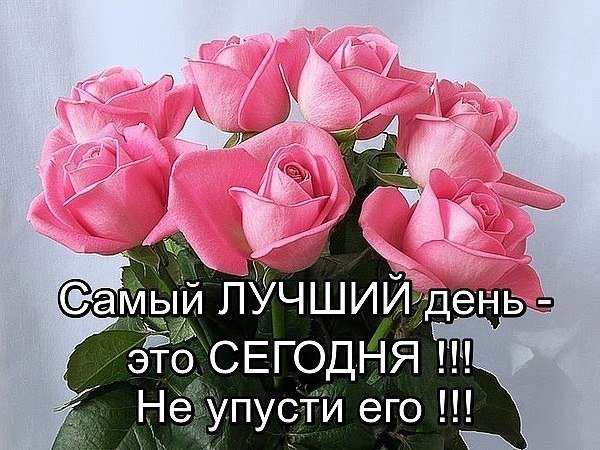 jnQwvsBvNKs