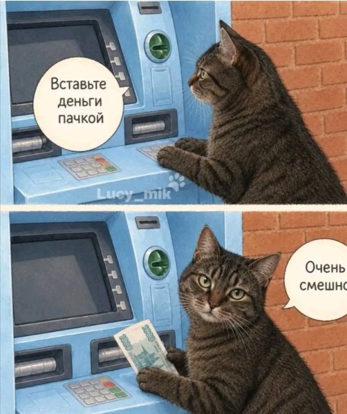 file_103538892