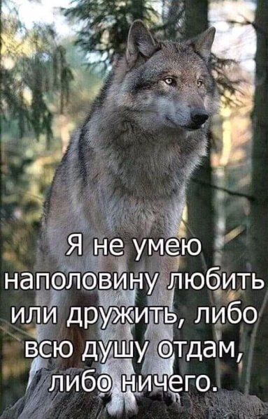 IMG 20210326 173737