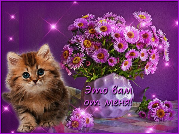 Это Вам от меня!