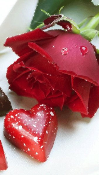 file_67292565
