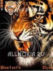 Animated tiger 2 by Heirfister