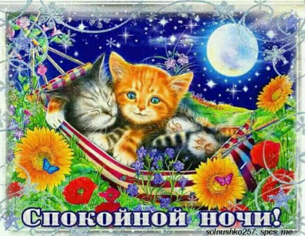 IMG 20180803 203036