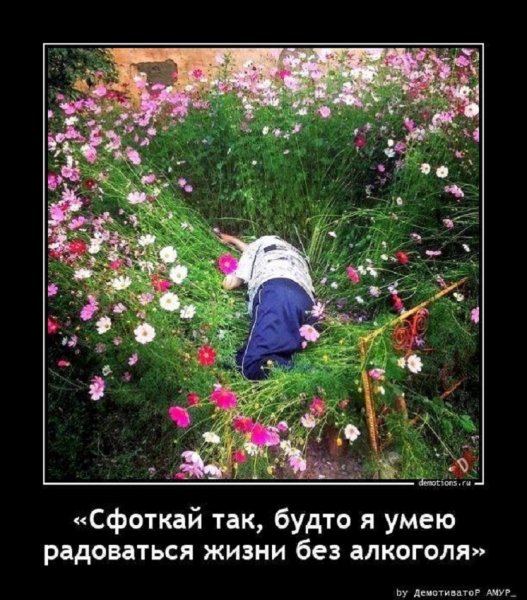 Сфоткал