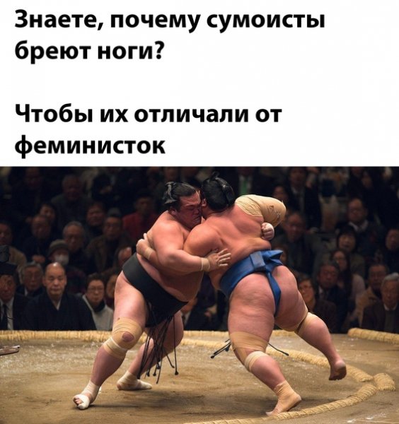 file_95101321
