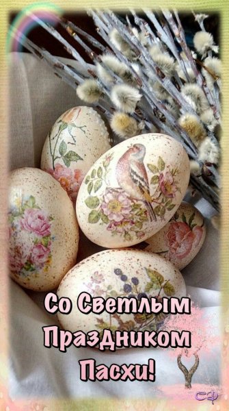 file_90282886
