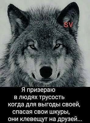 IMG 20220406 203626