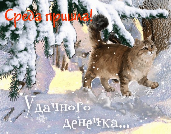 Анимированная открытка среда пришла