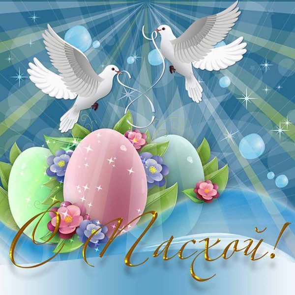 file_84185324