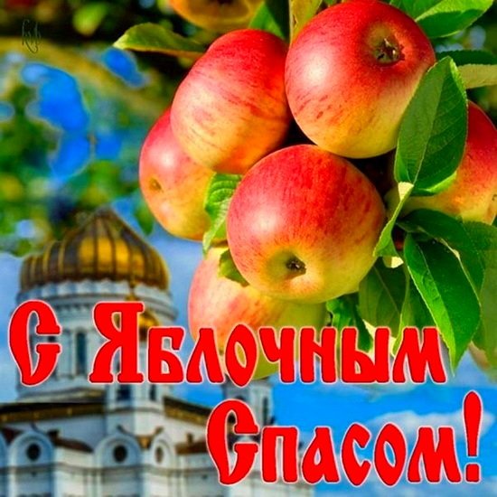 file_97488099