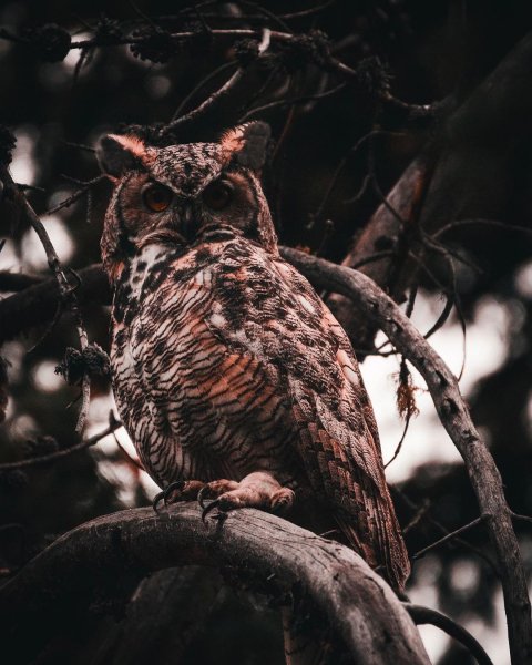 UGyk0NM8TEs