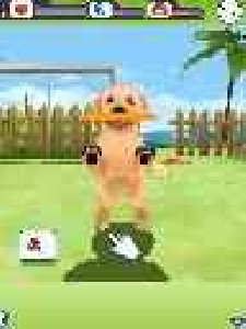 3D DOGZ SE ВСЕ ЭКРАНЫ