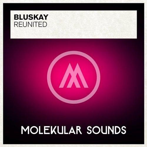 BluSkay - ReUnited (Original Mix)