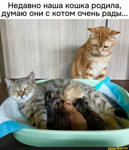 e8fe413c14b3701980a4940fa73a80d623a9a8 1