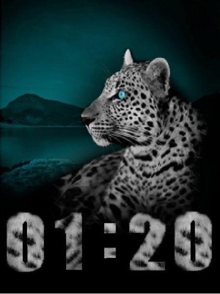 leopard (2nmn)
