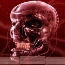 Terminator1