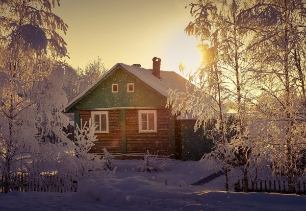 file_92119732