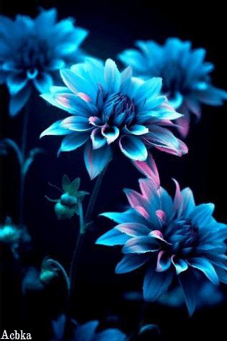 file_96917837