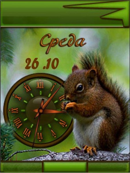 ardilla (DX)