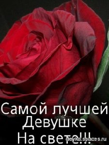 Розы на чёрном фоне