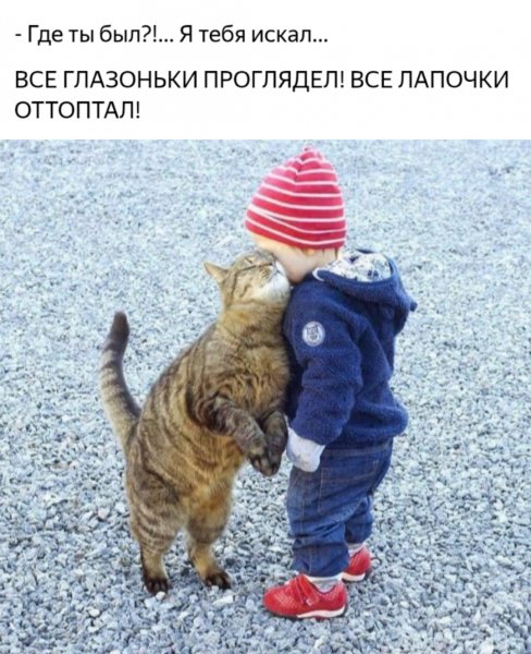 ,